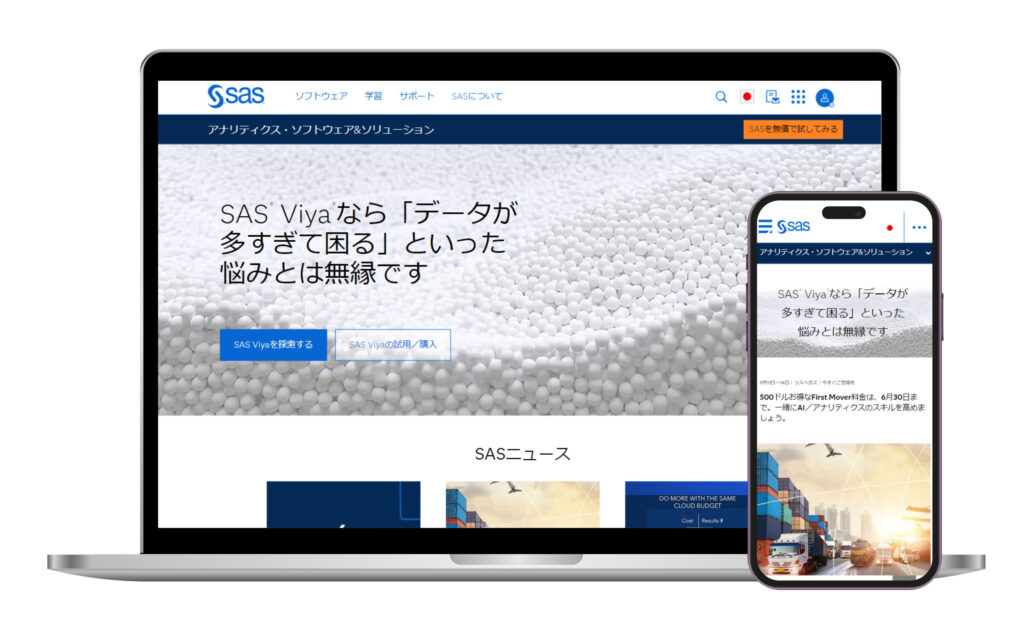 SAS Institute Japan