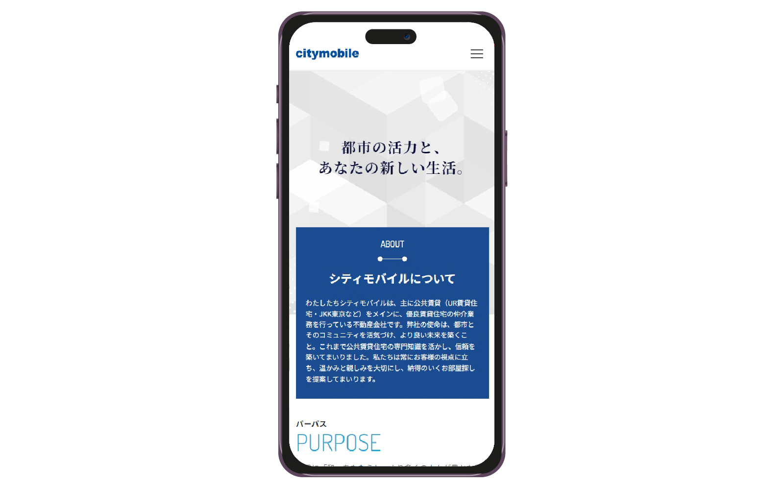 phone1-100